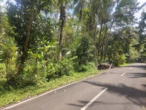 dijual tanah petang badung