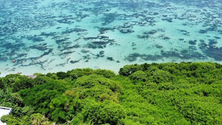 Dijual Tanah Los Tebing di Sawangan Nusa Dua