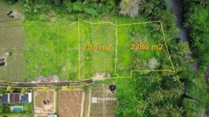 Dijual Tanah di Kengetan Singakerta Ubud Pinggir Sungai wos