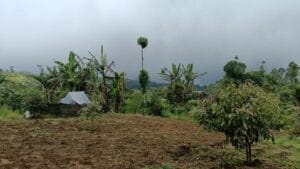 Dijual Tanah di Munduk dekat danau Tamblingan