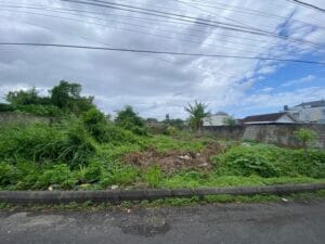tanah badak agung renon
