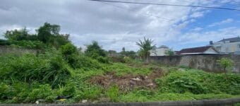 tanah badak agung renon
