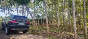 Dijual Tanah Di Jalan Pura Lempuyang Kutuh untuk Villa