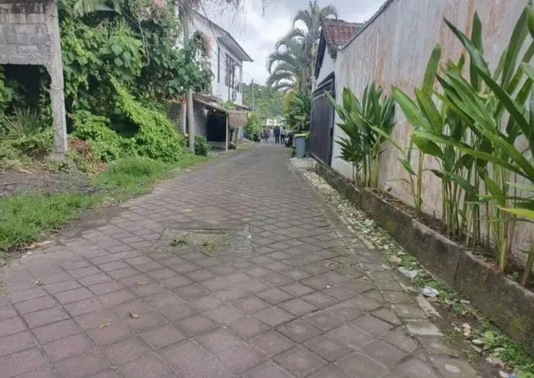 Dijual Tanah Gg Pandan Asri Tumbak Bayuh Canggu