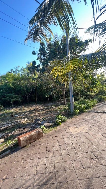 Dijual Tanah Jalan Anggrek Pura Masuka Ungasan