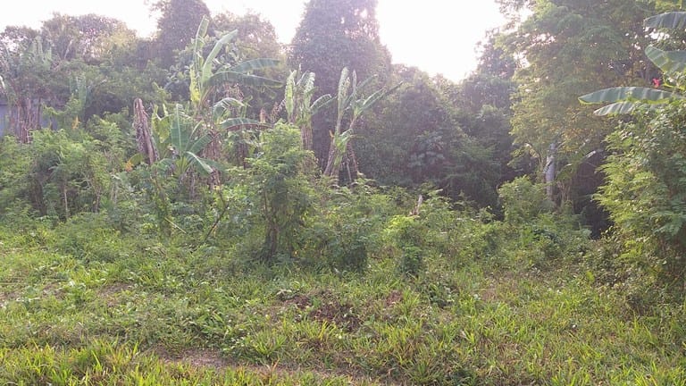 Tanah strategis di Tabanan