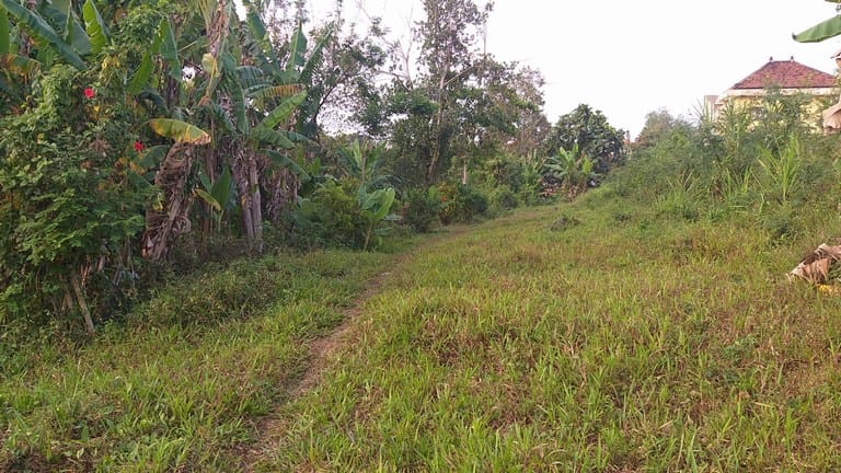 Dijual tanah di Tabanan