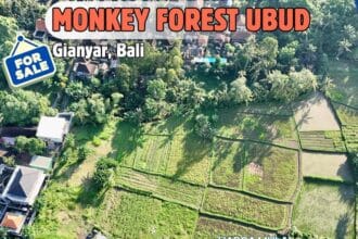 Dijual Tanah Kavling di Singakerta Ubud Dekat Monkey Forest