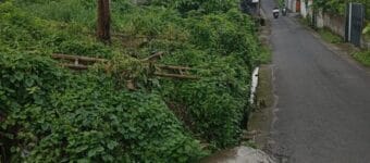 Dijual Tanah Pinggir Jalan Raya Tumbak Bayuh I Dekat Canggu