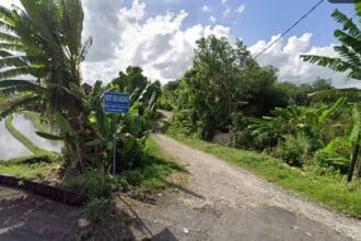 Freehold land near Kedungu Beach