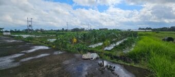 Dijual Tanah di Jalan Jangga Belalang Dekat Pantai Kedungu