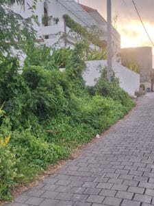 Investasi tanah dekat pantai Cemagi