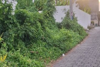 Investasi tanah dekat pantai Cemagi