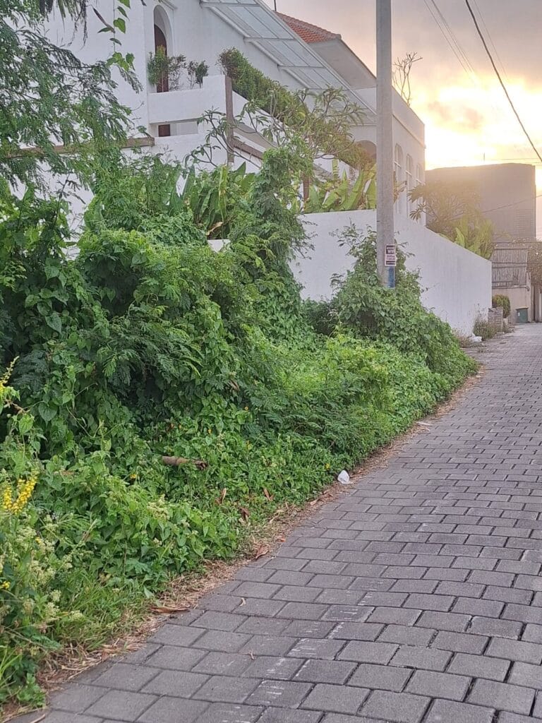 Investasi tanah dekat pantai Cemagi