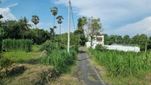 Dijual Tanah di Jalan Pantai Saba Blahbatuh Gianyar