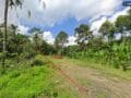 Bukian Ubud land for sale