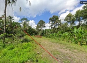 Bukian Ubud land for sale