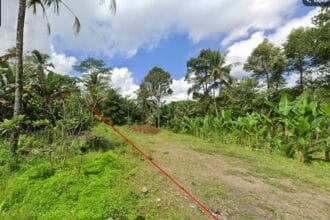 Bukian Ubud land for sale