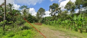 Bukian Ubud land for sale