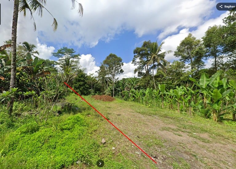 Bukian Ubud land for sale