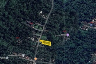 Dijual Tanah di Jalan Payangan Bukian Ubud 12 Are