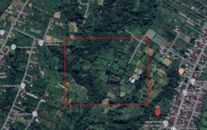 Tanah untuk agro wisata di Kintamani