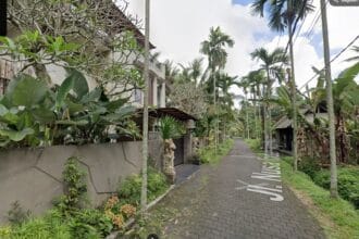 Buy land in Ubud with rice field view
