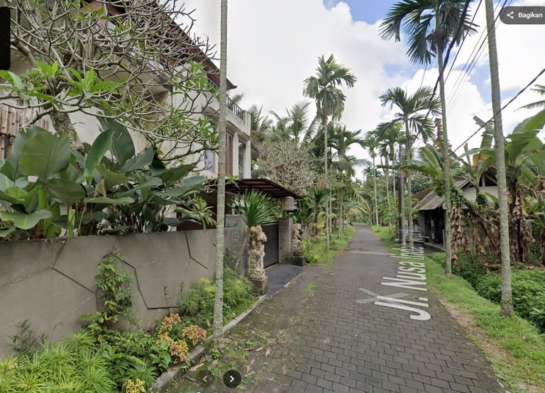 Buy land in Ubud with rice field view
