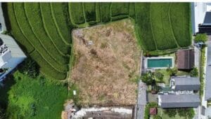 Jual Tanah Jalan Anggrek Berawa 11,9 Are Dekat Pantai