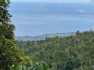 dijual tanah view pantai lovina