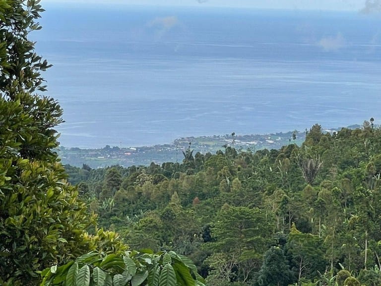 dijual tanah view pantai lovina