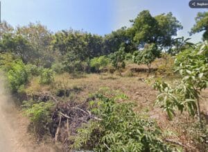 Dijual Tanah Desa Air Sanih