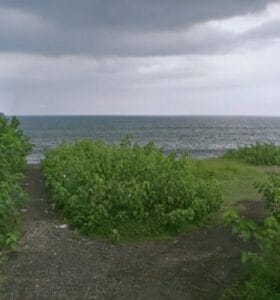 jual tanah pantai Nyanyi siap bangun