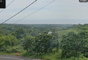jual tanah Kubutambahan Bali Utara