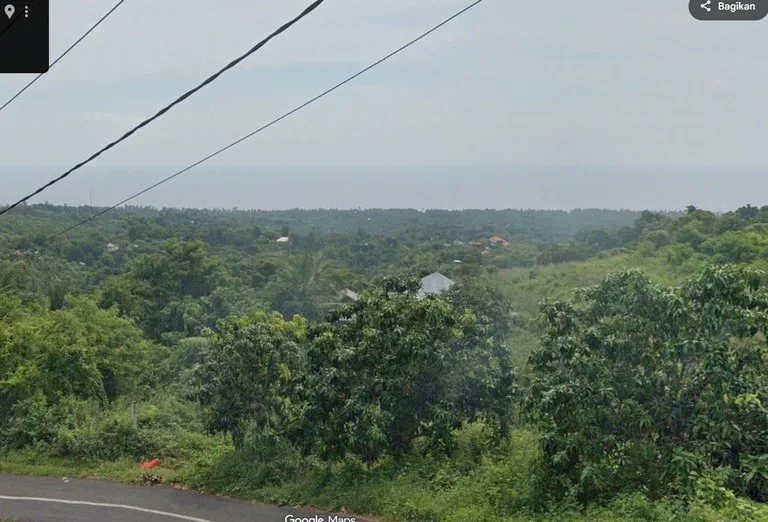 jual tanah Kubutambahan Bali Utara