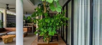 seminyak villa investment