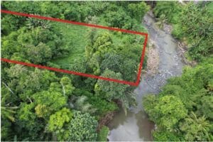 Lahan Investasi Properti 5000 m2 di Desa Buwit Tabanan Bali Sertifikat Hak Milik