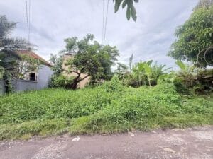 Dijual Tanah di Jalan Dewi Drupadi Munggu 10 Menit ke Canggu
