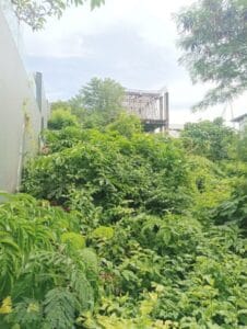 Dijual Tanah Gg Kencana Karang Mas Jimbaran