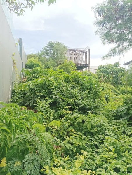 Dijual Tanah Gg Kencana Karang Mas Jimbaran