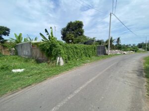 Dijual Tanah Jalan Kurusetra Keramas Blahbatuh 250 m2 (9)