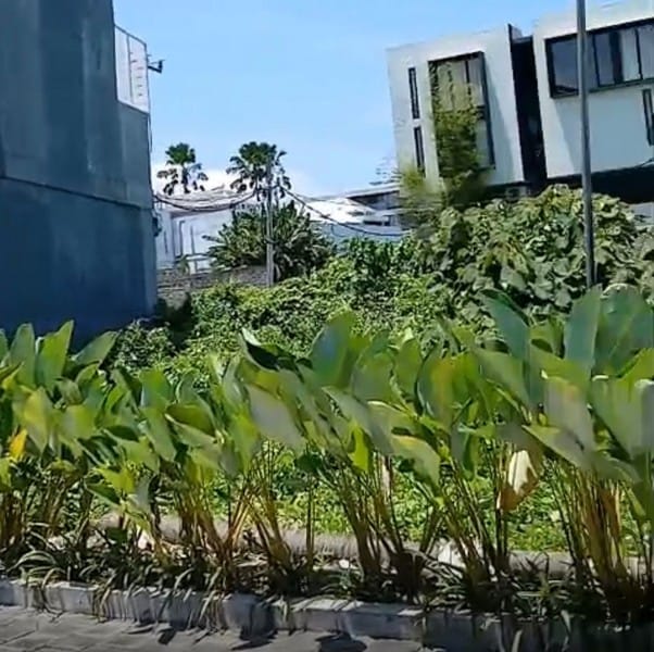 Dijual Tanah di Gg Omkara Tegal Sari Berawa