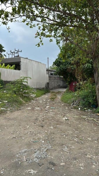 Dijual Tanah di Gg Kelapa Seminyak Belakang Waung Made