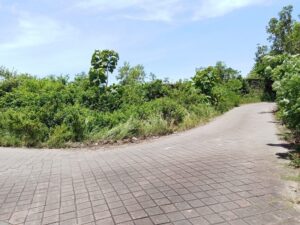 Jual Tanah Jalan Tulip Toyaning Ungasan Premium Area
