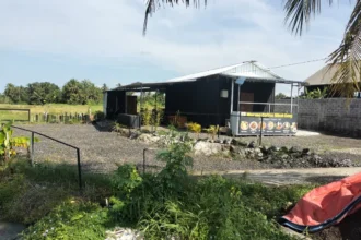 Lahan dijual tanah di Tabanan yang berlokasi tepat di pinggir jalan utama Subamia Wanasari dengan akses jalan aspal yang lebar.
