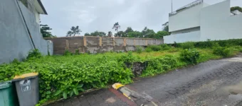 Dijual Tanah Munduk Kalampuak Kayu Tulang Canggu 4,5 Are