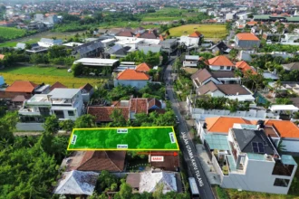 Tanah Raya Kayu Tulang Selatan Canggu Dijual 2,3 Are