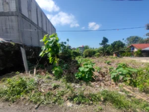 Dijual Tanah Jalan Pura Lempuyang Goa Gong 2 are