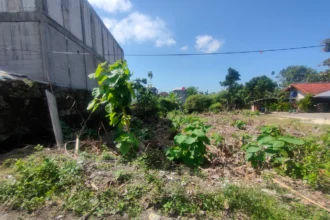 Dijual Tanah Jalan Pura Lempuyang Goa Gong 2 are