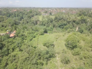 Peta lokasi tanah dijual di pinggir jalan utama dekat sentral Ubud dan Air Terjun Tegenungan